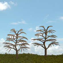 model trees